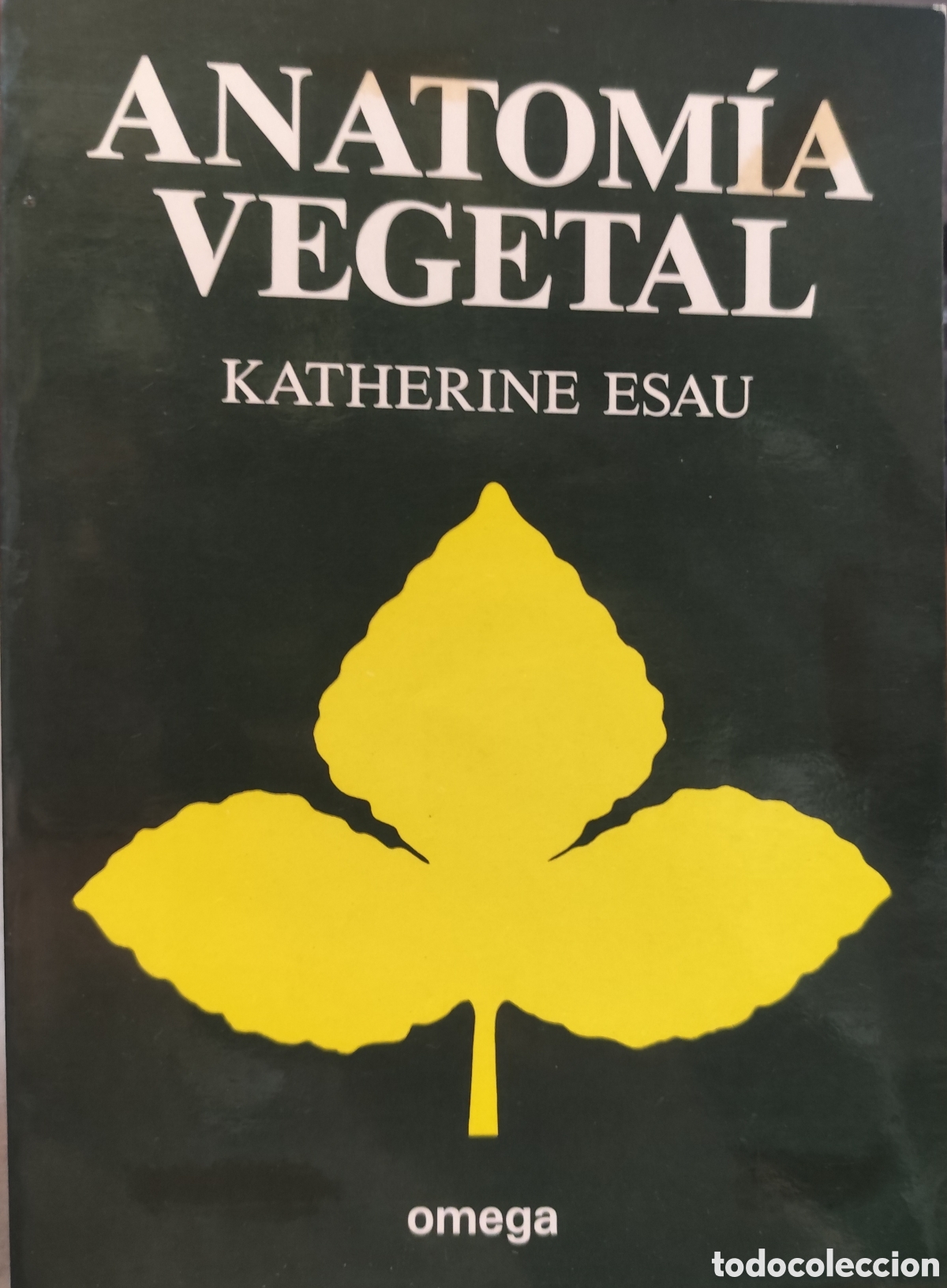 Libri di seconda mano: ANATOMIA VEGETAL. A&ntilde;o 1985 - ESAU,Katherine