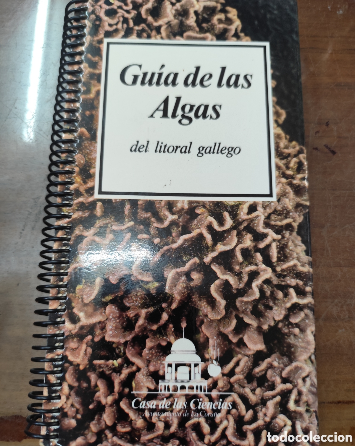 Libri di seconda mano: GUIA DE LAS ALGAS DEL LITORAL GALLEGO. Edici&oacute;n de 1000 ejemplares. Galicia - BARBARA,Ignacio y CREMA