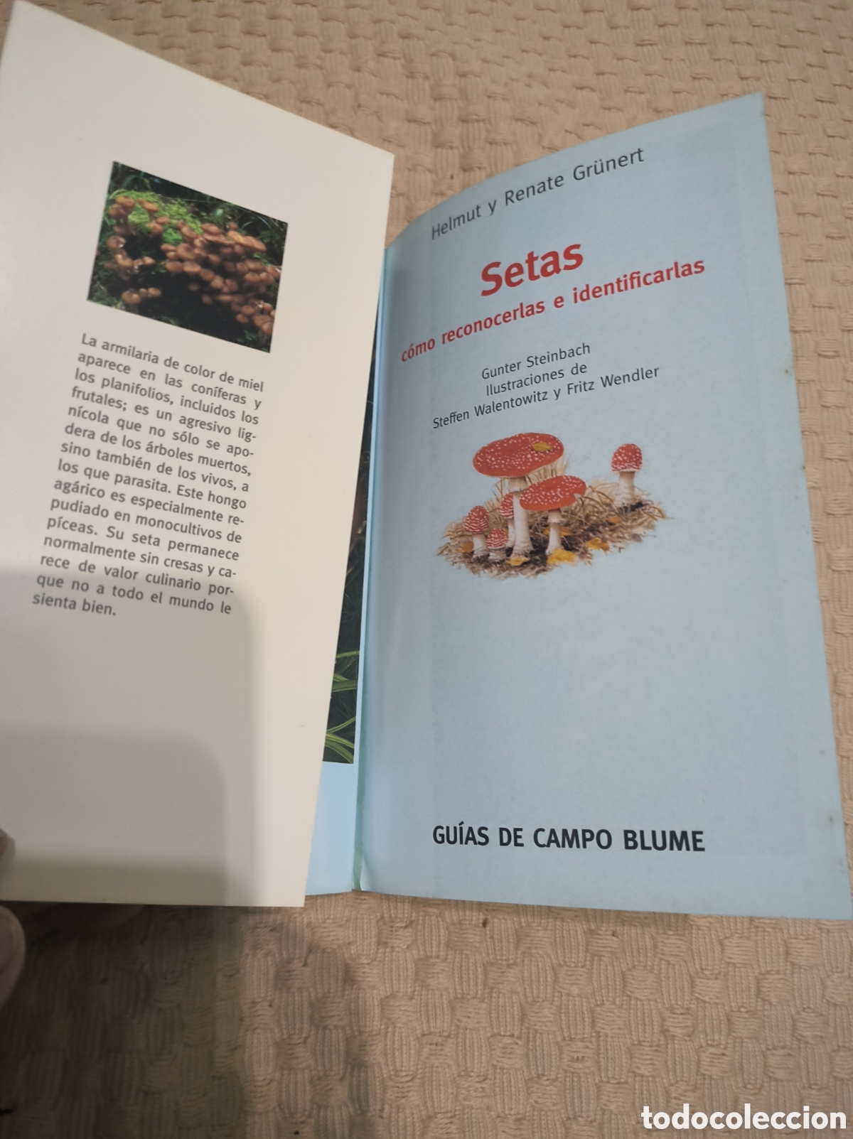 Libros: Setas como reconocerlas e identificarlas