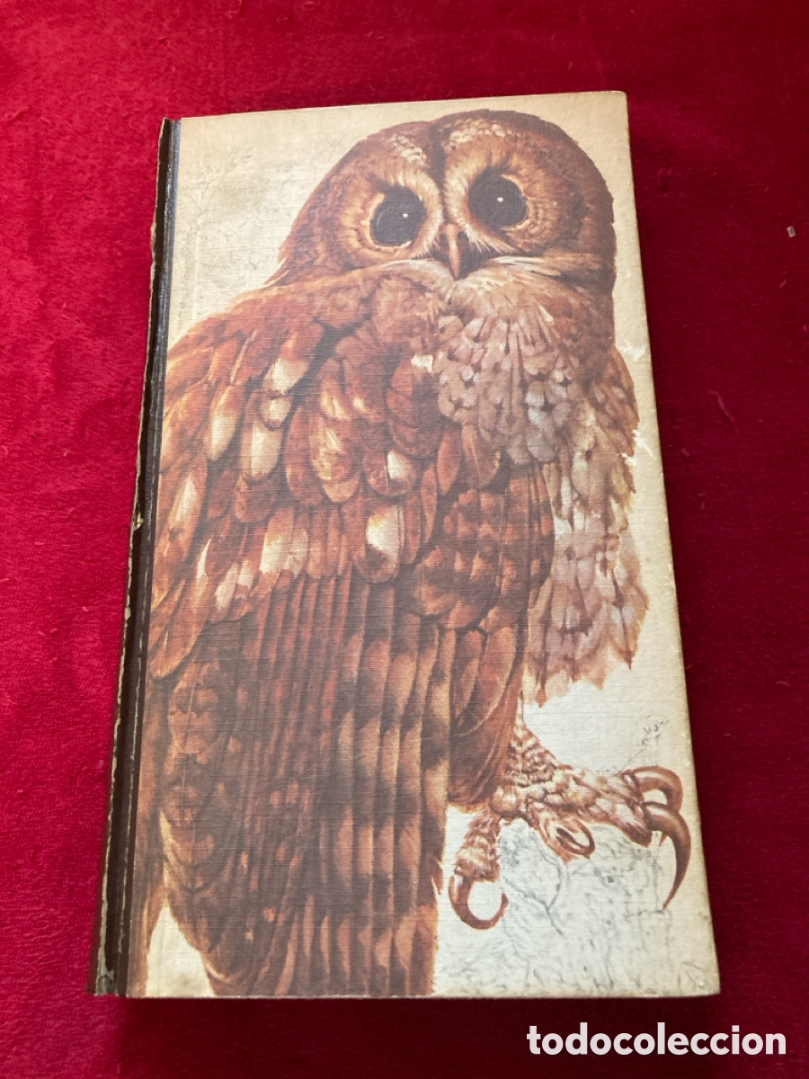 Libros: LIBRO LAS AVES DE ESPA&Ntilde;A