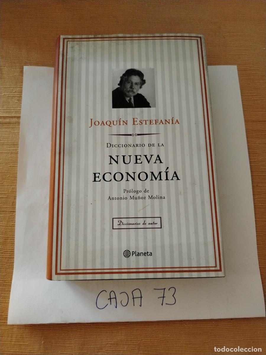 Libros: Libro diccionario de la nueva econom&iacute;a, Joaqu&iacute;n Estefan&iacute;a