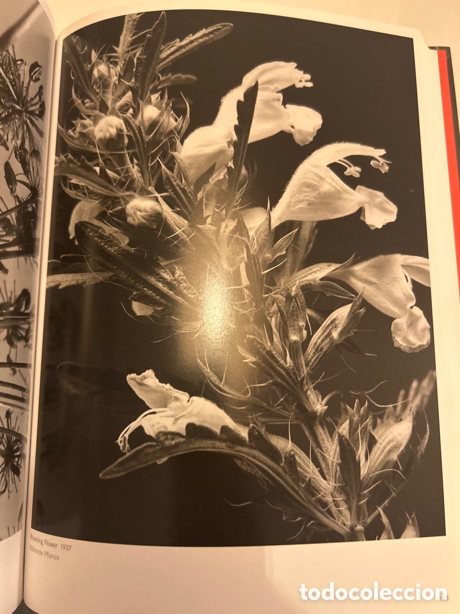Libros: Andreas feininger. Hatje Cantz - Foto 6