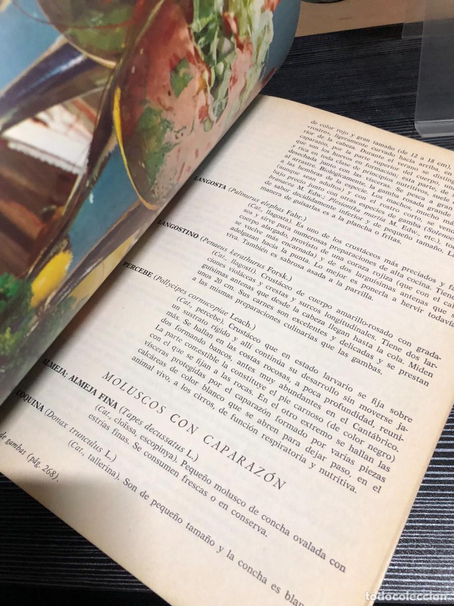 Libros: Gran Enciclopedia de la Cocina Varios / Ed. ABC / Espasa - Foto 5