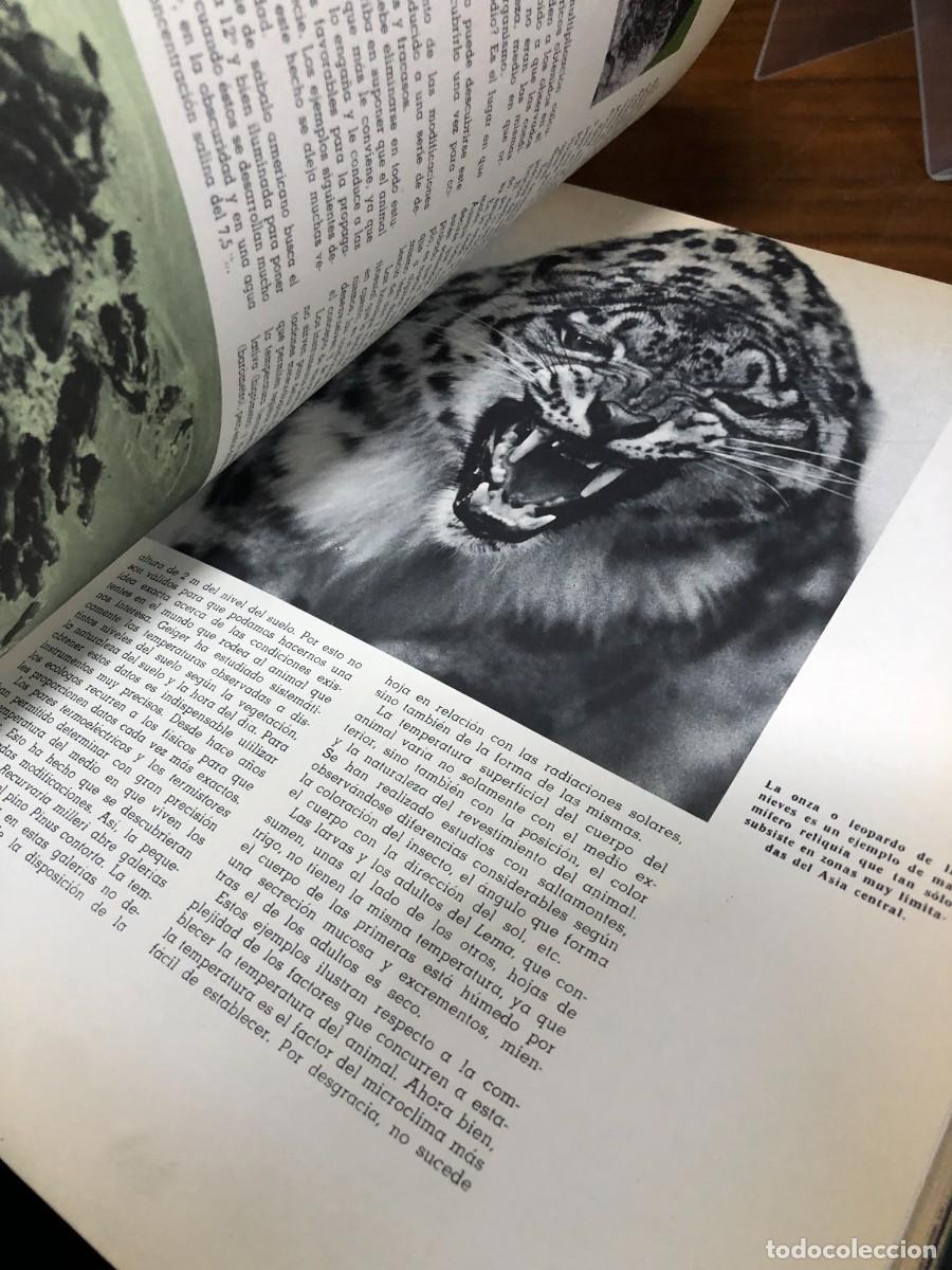Libros: El mundo de la ciencia Tomo I - Foto 3