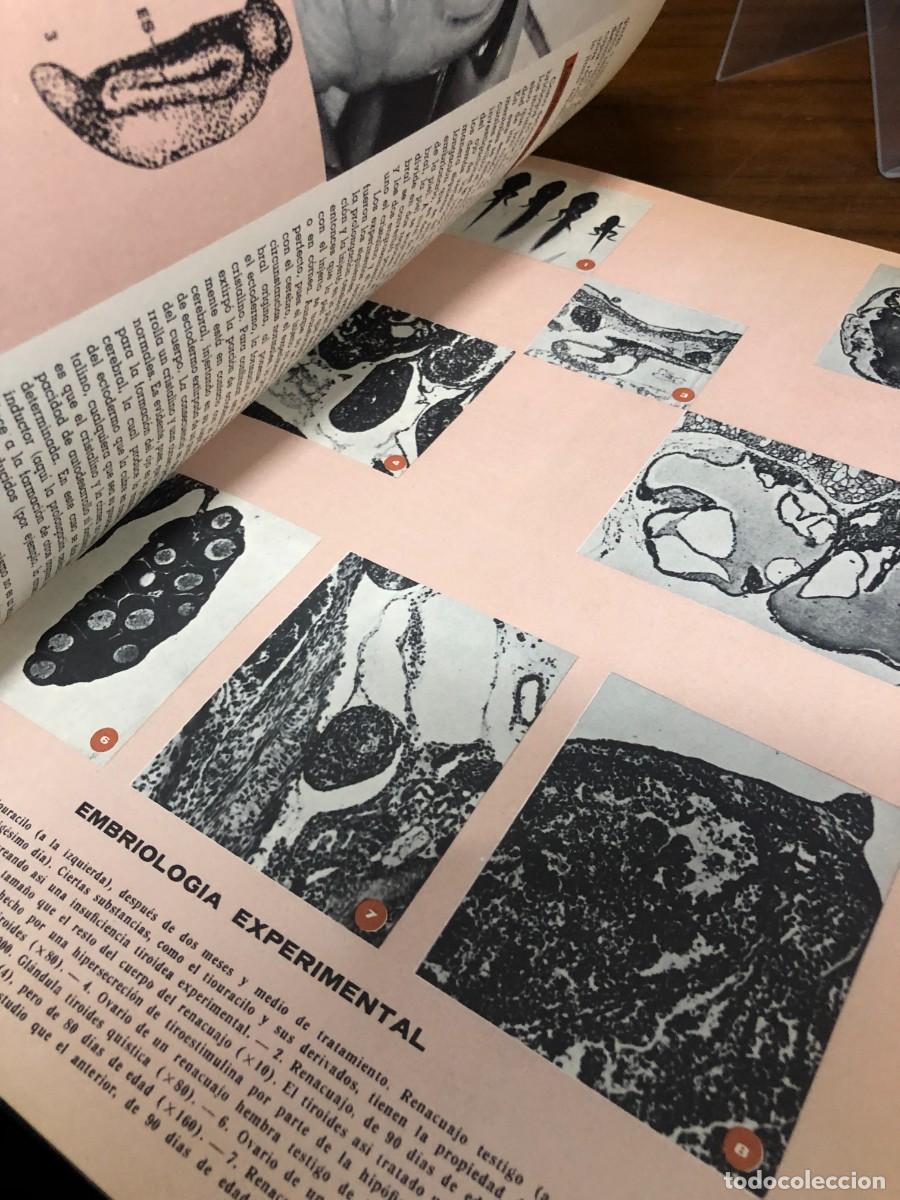 Libros: El mundo de la ciencia Tomo I - Foto 4