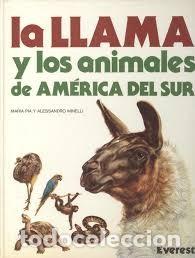 Livros em segunda m&atilde;o: La llama y los animales de Am&eacute;rica del Sur - Alessandro Minelli - Editorial Everest - Animales de la