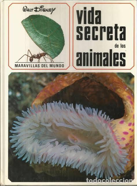 Libros: Vida secreta de los animales - Walt Disney - Ediciones Gaisa S.L. - 1968 - Maravillas del Mundo