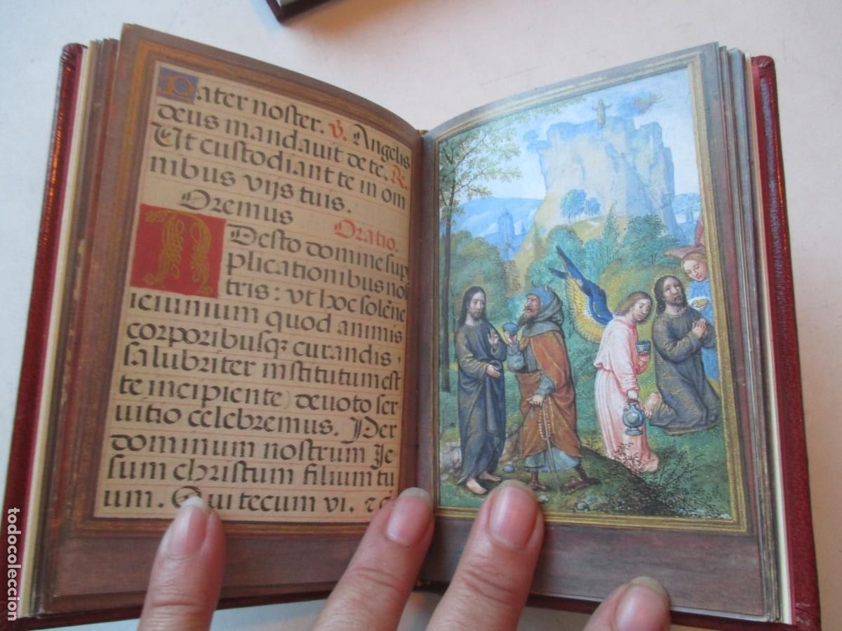 Libros: Rosarium (Facsimil + estudio)( Ed. Casariego) W41998 - Foto 4