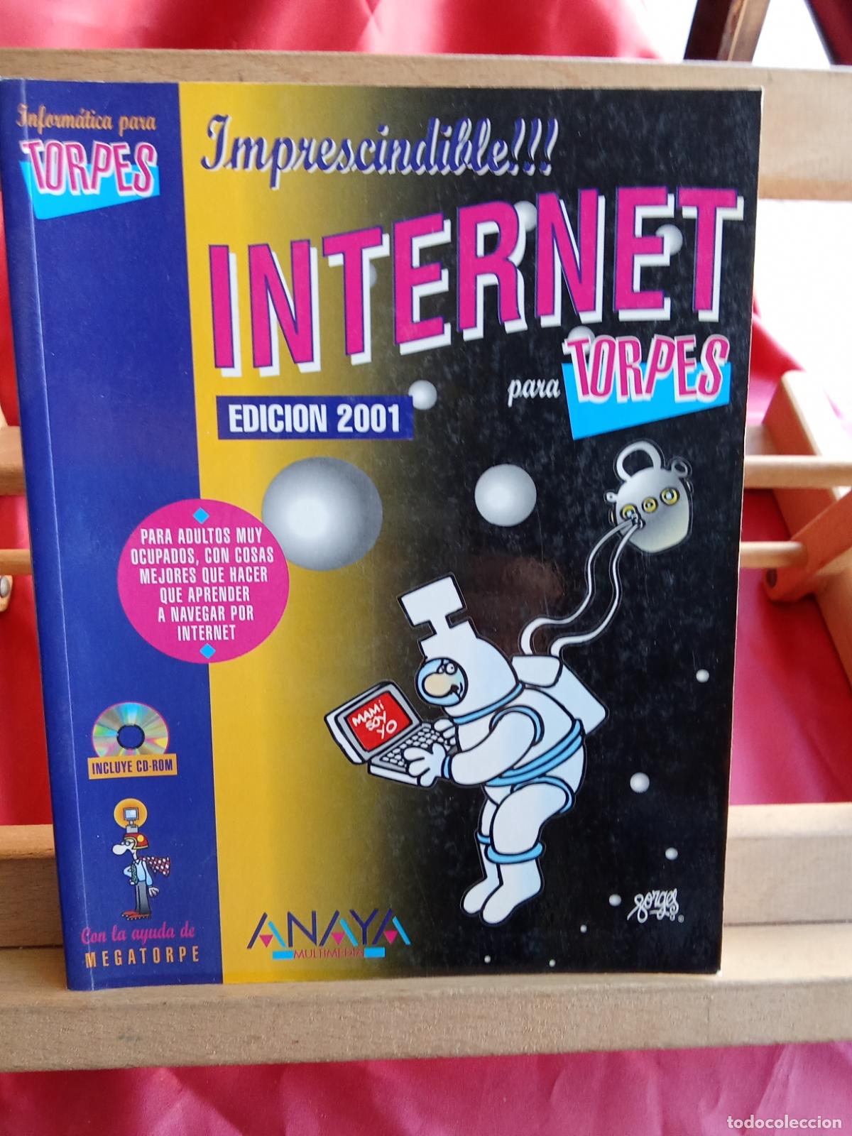 Libros: Internet para torpes edicion 2001 L.36-1690