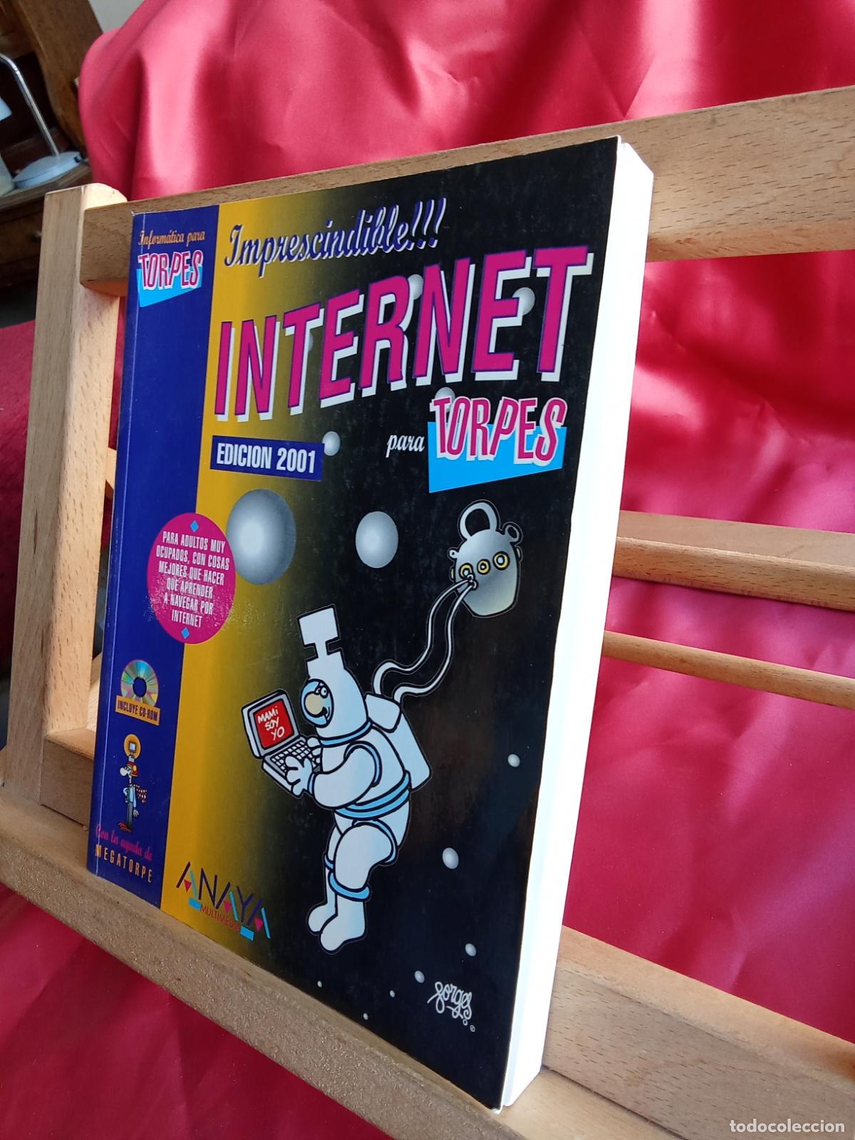 Libros: Internet para torpes edicion 2001 L.36-1690 - Foto 2