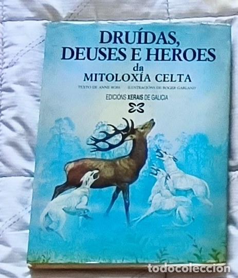 Libros: Dru&iacute;das, Deuses e Heroes da Mitolox&iacute;a Celta - Edici&oacute;ns Xerais de Galicia