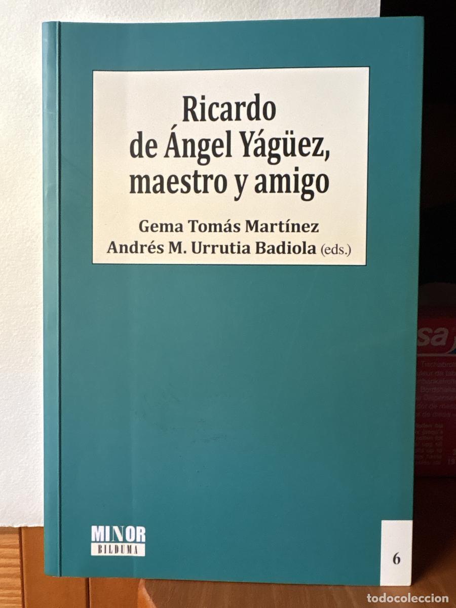Libros: Ricardo de &Aacute;ngel Y&aacute;g&uuml;ez, maestro y amigo - GEMA TOMAS MARTINEZ tdk244