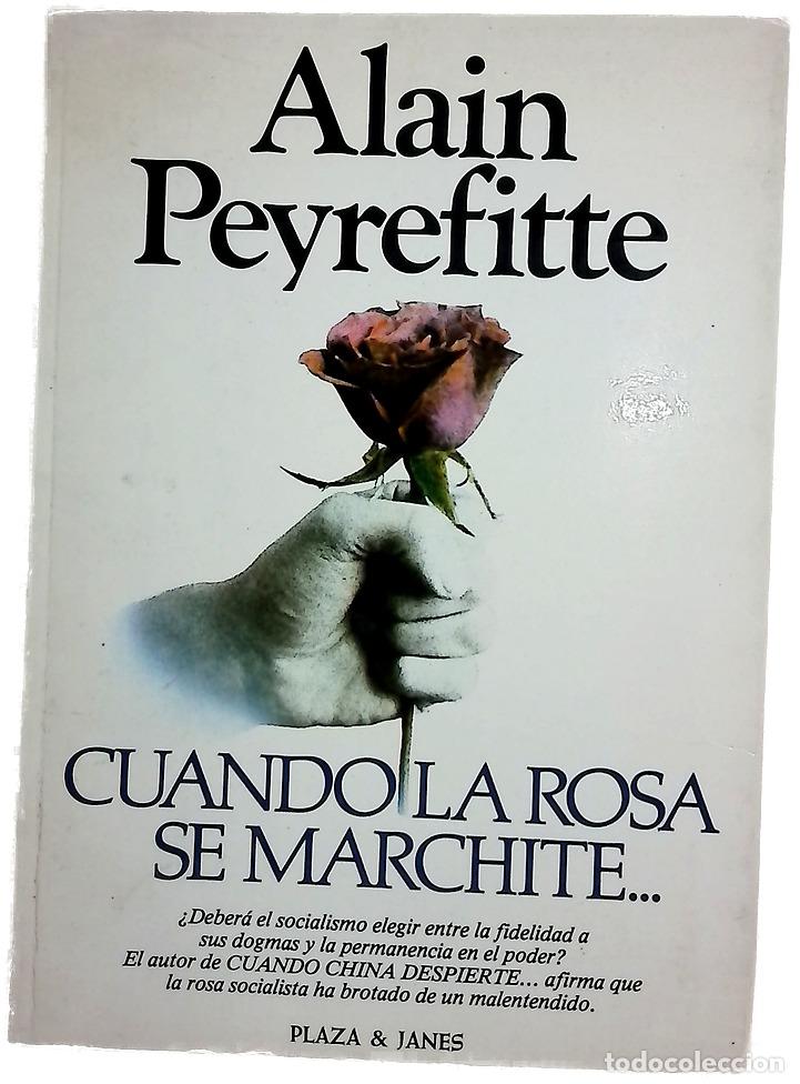 Libri di seconda mano: Cuando la rosa se marchite... del equ&iacute;voco a la esperanza