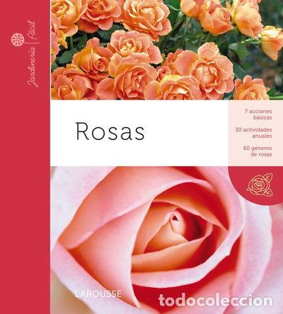 Libri di seconda mano: Rosas- 9788415411895