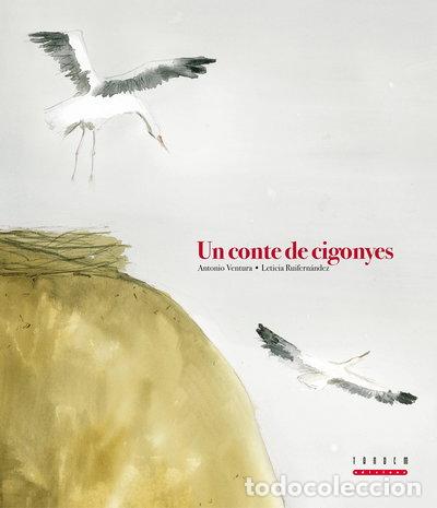 Libros: Un conte de cigonyes- 9788481318586