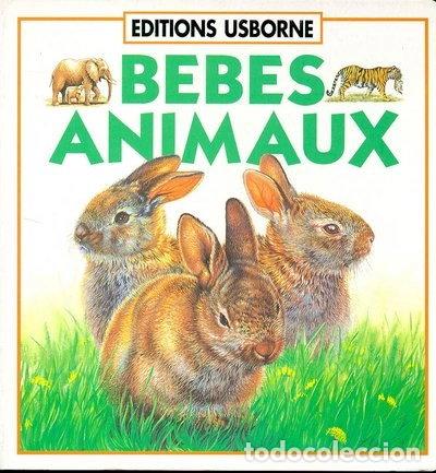 Libros: B&eacute;b&eacute;s animaux- 9780746021774