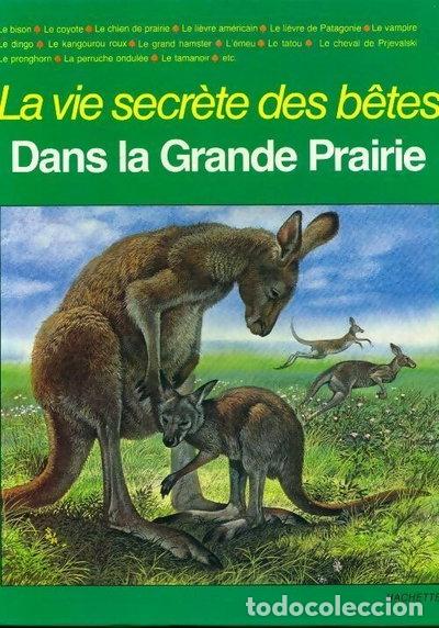 Livres: Dans la grande prairie- 9782010049996