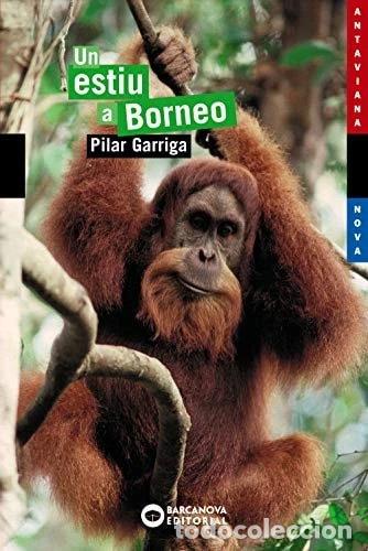 Libros: Un estiu a Borneo- 9788448921071