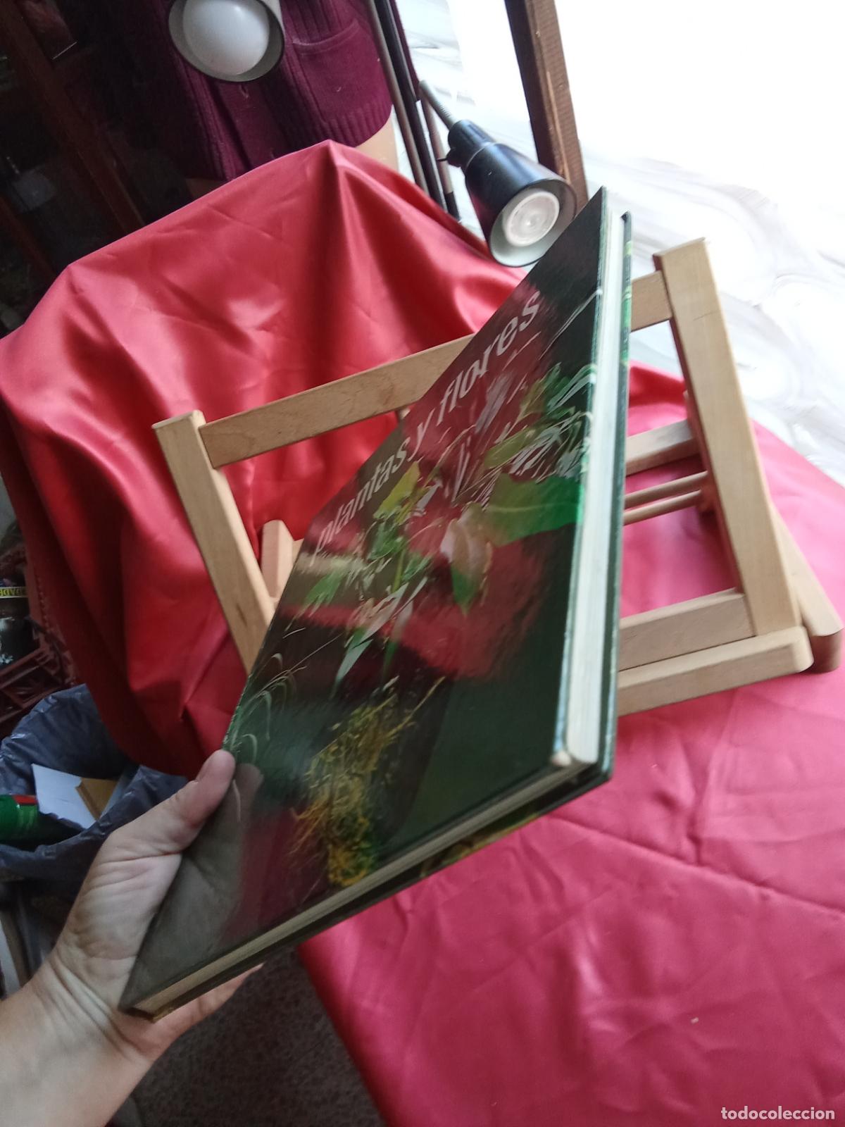 Libros: Gran libro de plantas y flores BA.548-1538 - Foto 2