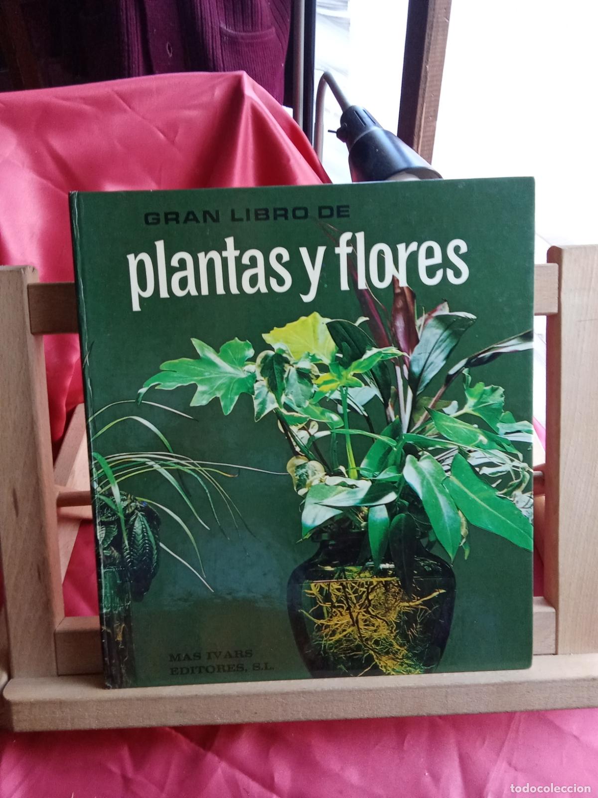 Libros: Gran libro de plantas y flores BA.548-1538