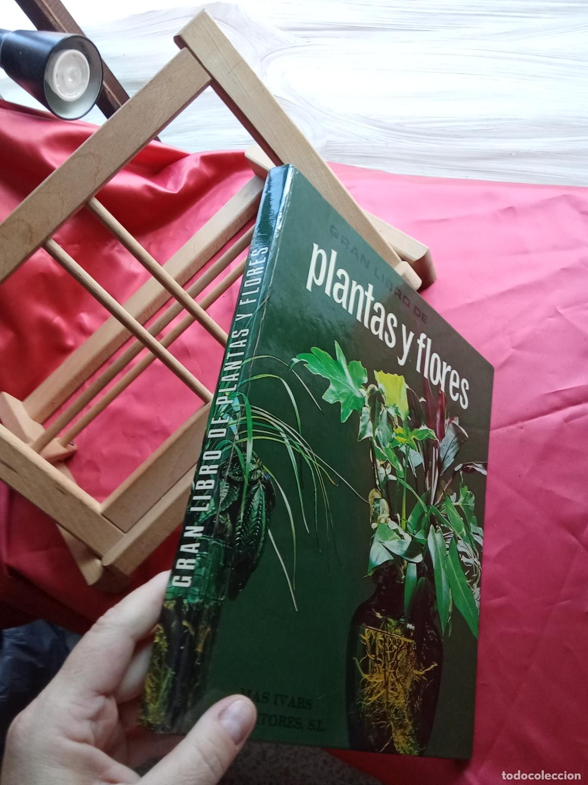 Libros: Gran libro de plantas y flores BA.548-1538 - Foto 3