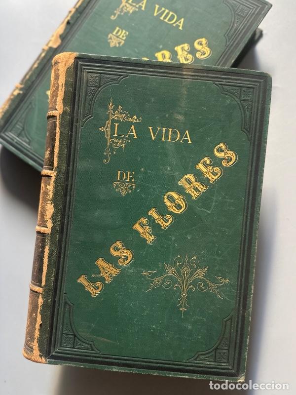 Libri di seconda mano: La vida de las flores, Alfonso Karr y Taxile Delord - Tipo-litograf&iacute;a de Celestino Verdaguer, 1878