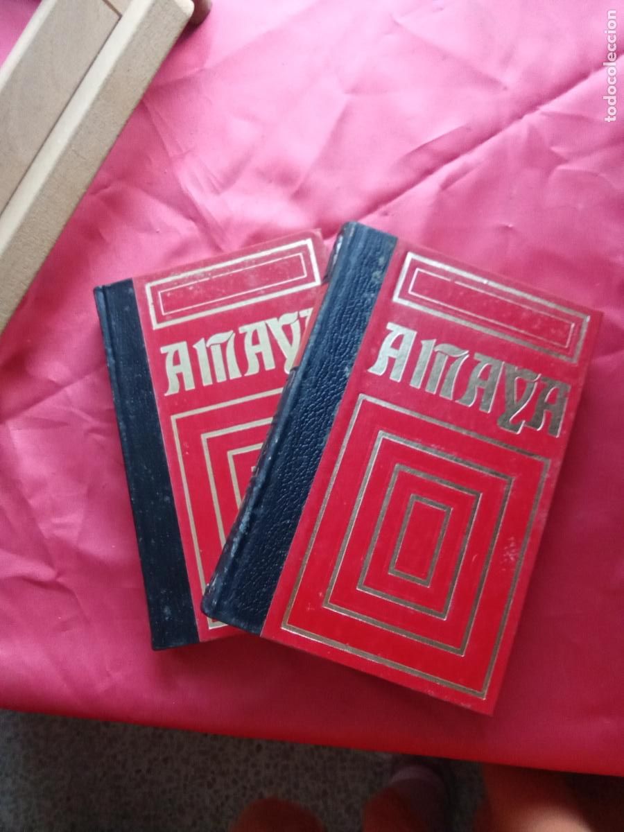 Libros: Amaya (dos tomos). E. Navarro Villosilada L.7539-2055
