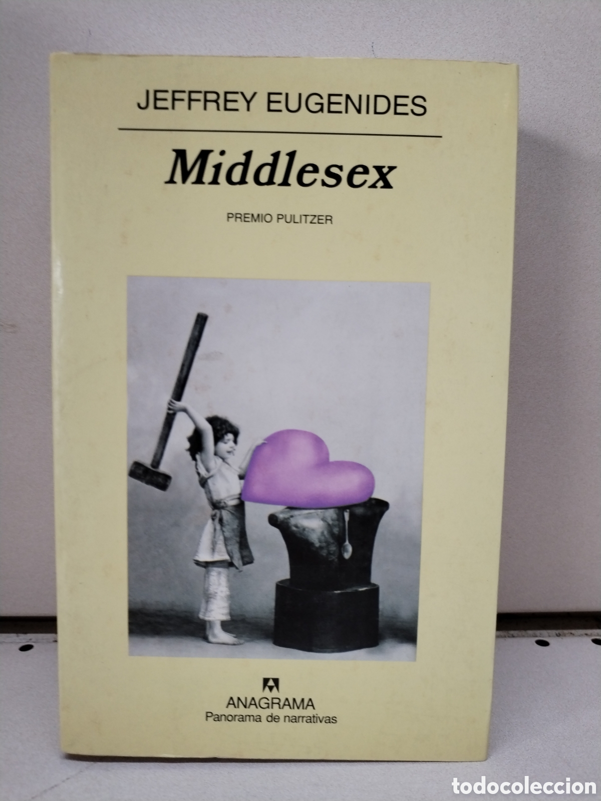 books: Middlesex (Panorama de narrativas) - Eugenides, Jeffrey