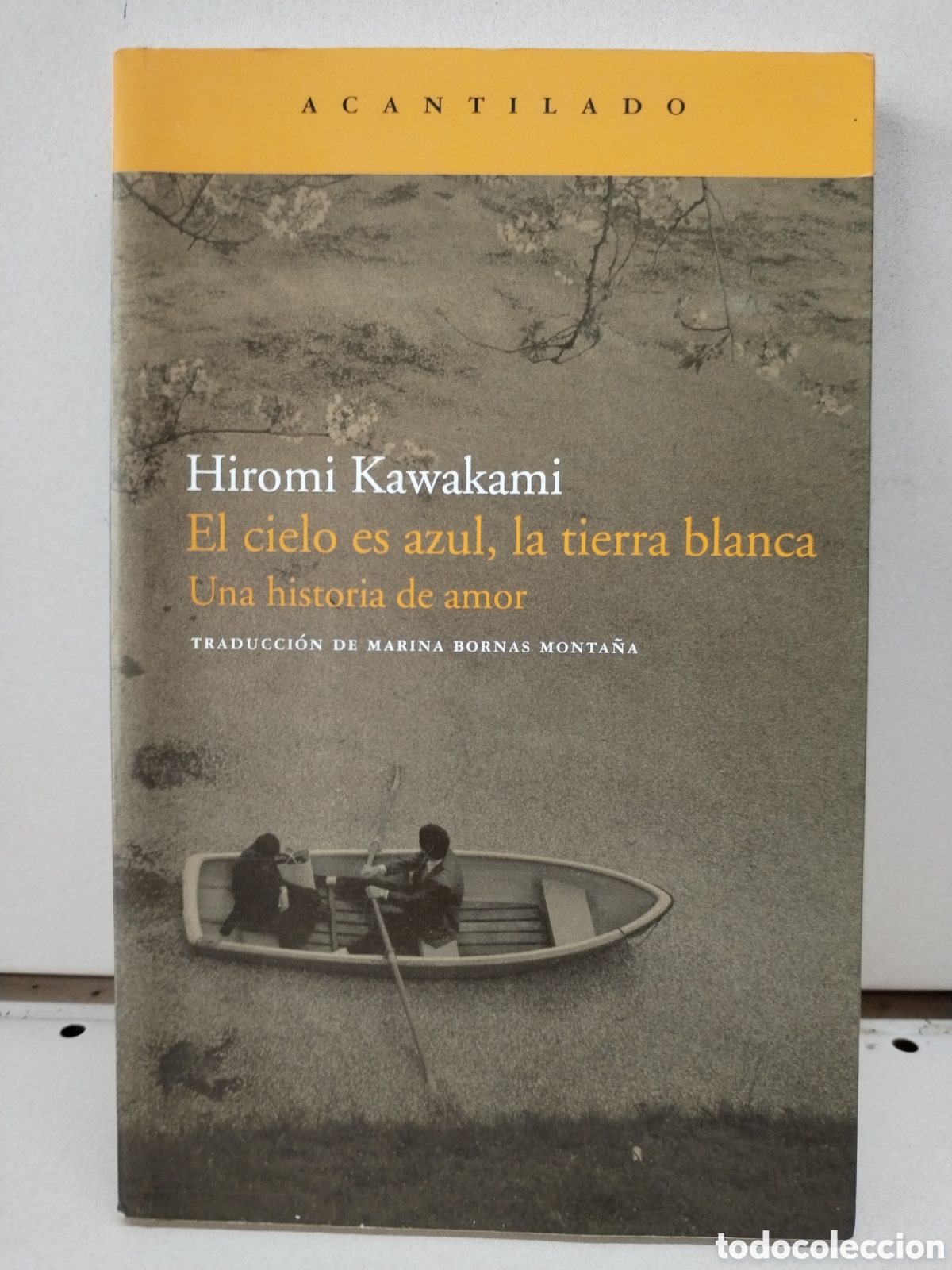 books: El cielo es azul, la tierra blanca: Una historia de amor - Hiromi Kawakami