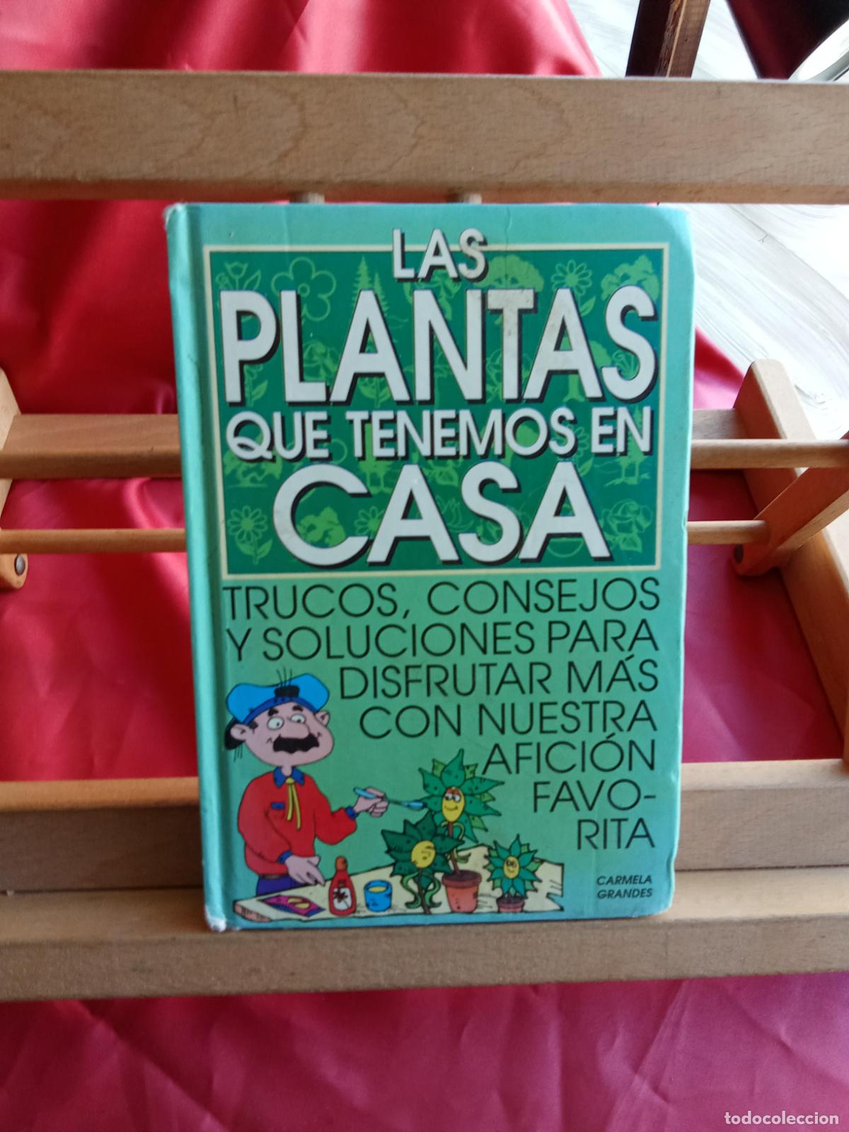 Libros: Las plantas que tenemos en casa. Carmela Grandes L.17025-550