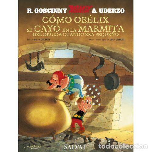 Libros: C&Oacute;MO OB&Eacute;LIX SE CAY&Oacute; EN LA MARMITA DEL DRUIDA CUANDO ERA PEQUE&Ntilde;O - GOSCINNY, REN&Eacute; Y UDERZO, A.