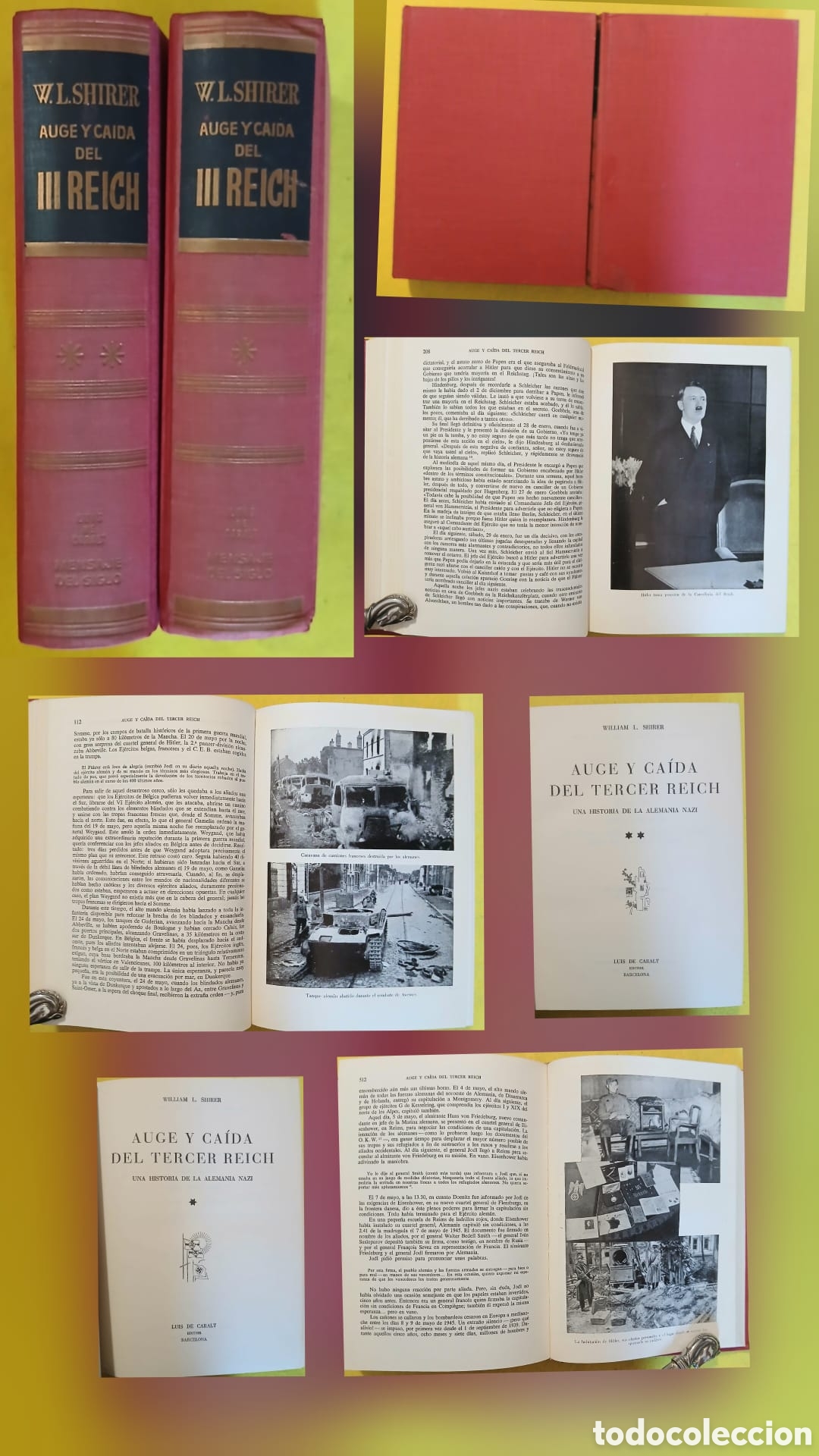 Libros: Auge y caida del III Reich
