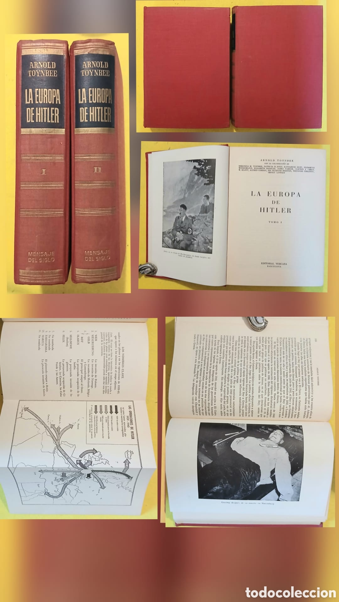 Libros: La europa de Hitler, Arnold Toynbee