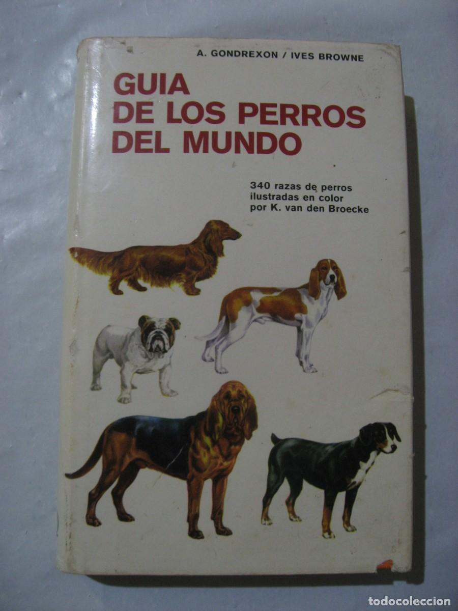 Libros: GUIA DE LOS PERROS DEL MUNDO 340 razas de perros ilustradas en color por K. van den Broecke - A. Gon