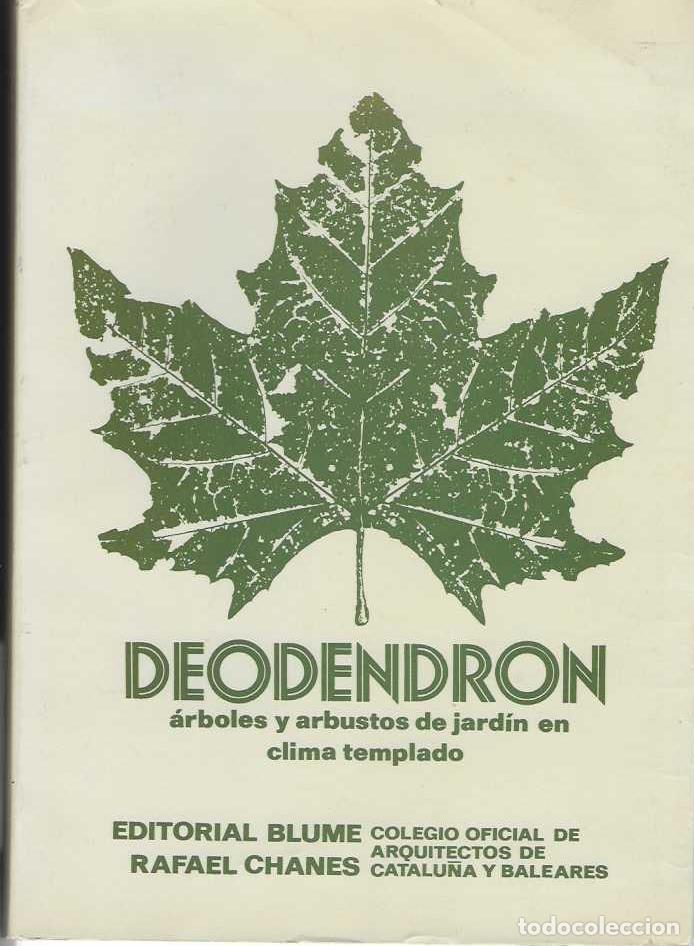 Livros em segunda m&atilde;o: DEODENDRON. &Aacute;rboles y arbustos de jard&iacute;n en climas templados. - CHANE, Rafael.