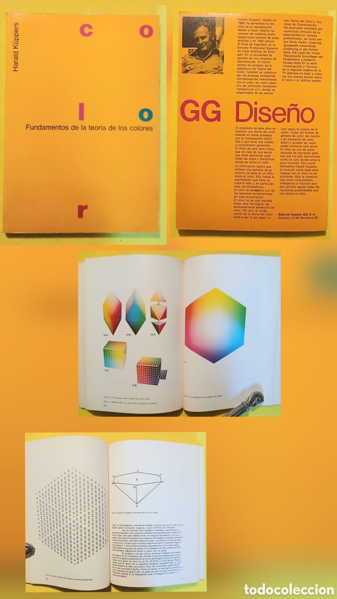 Libros: Fundamentos de la teor&iacute;a de los colores