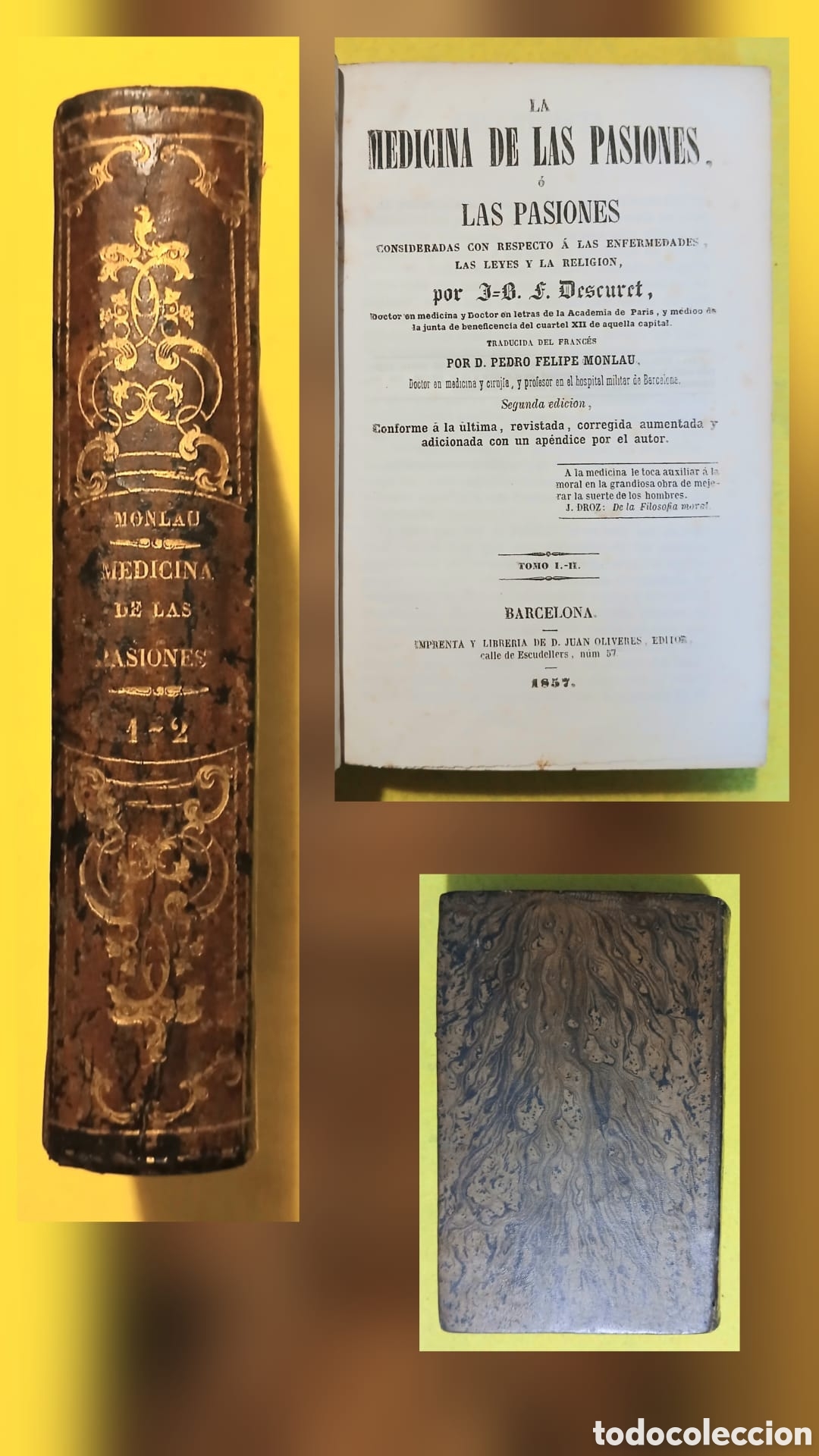Libros: Medicina de las pasiones, Descuret.