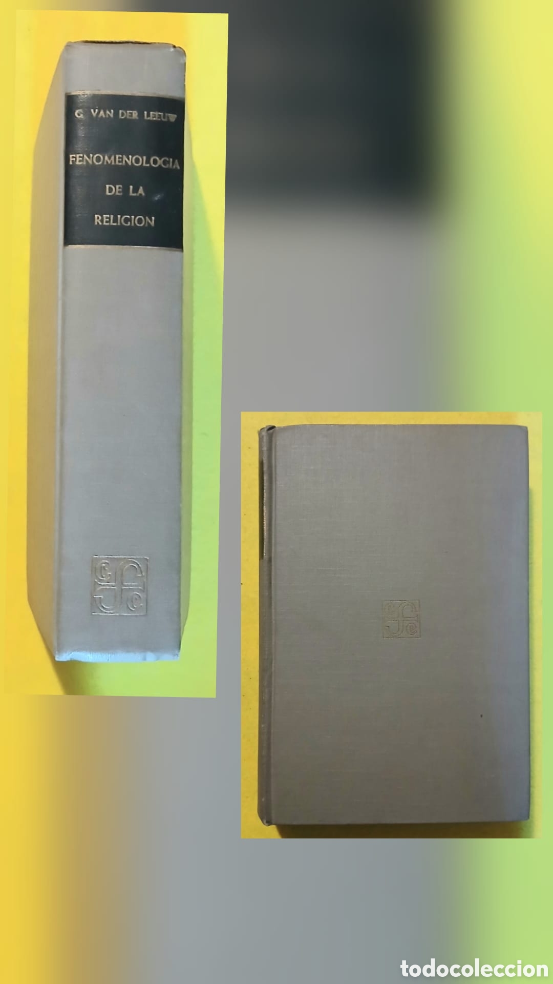 Libros: Fenomenolog&iacute;a de la religi&oacute;n.