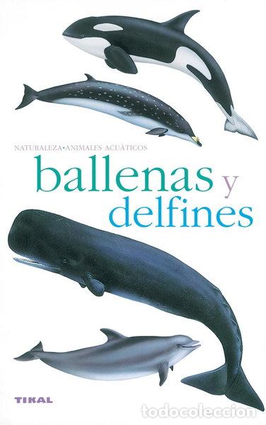 Livres: Ballenas y delfines- 9788430553952