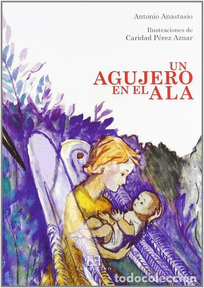 Libros: Un agujero en el ala- 9788474909500