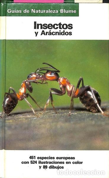 Libros: Insectos y ar&aacute;cnidos- 9788487535109