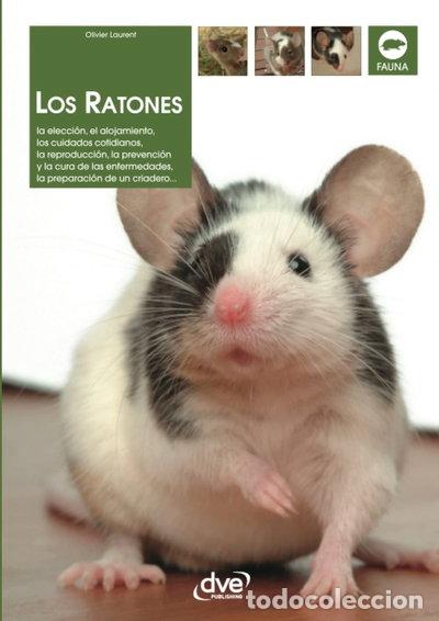 Livres: Los ratones- 9781646990740