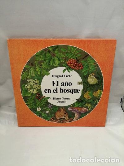 Libros: El a&ntilde;o en el bosque- 9788470316180