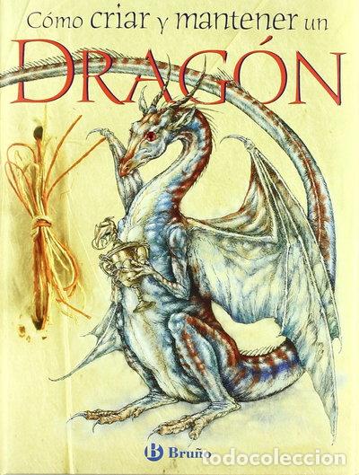 books: C&oacute;mo criar y mantener un drag&oacute;n- 9788421680513