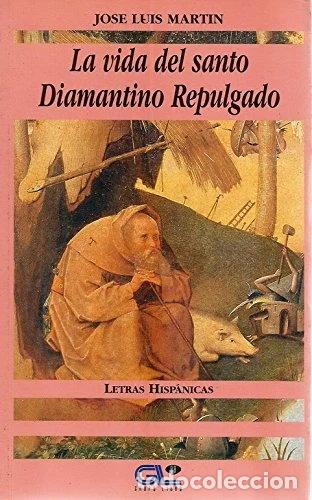books: La vida del santo Diamantino Repulgado- 9788479061517