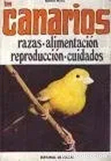Livres: Los canarios- 9788431529666