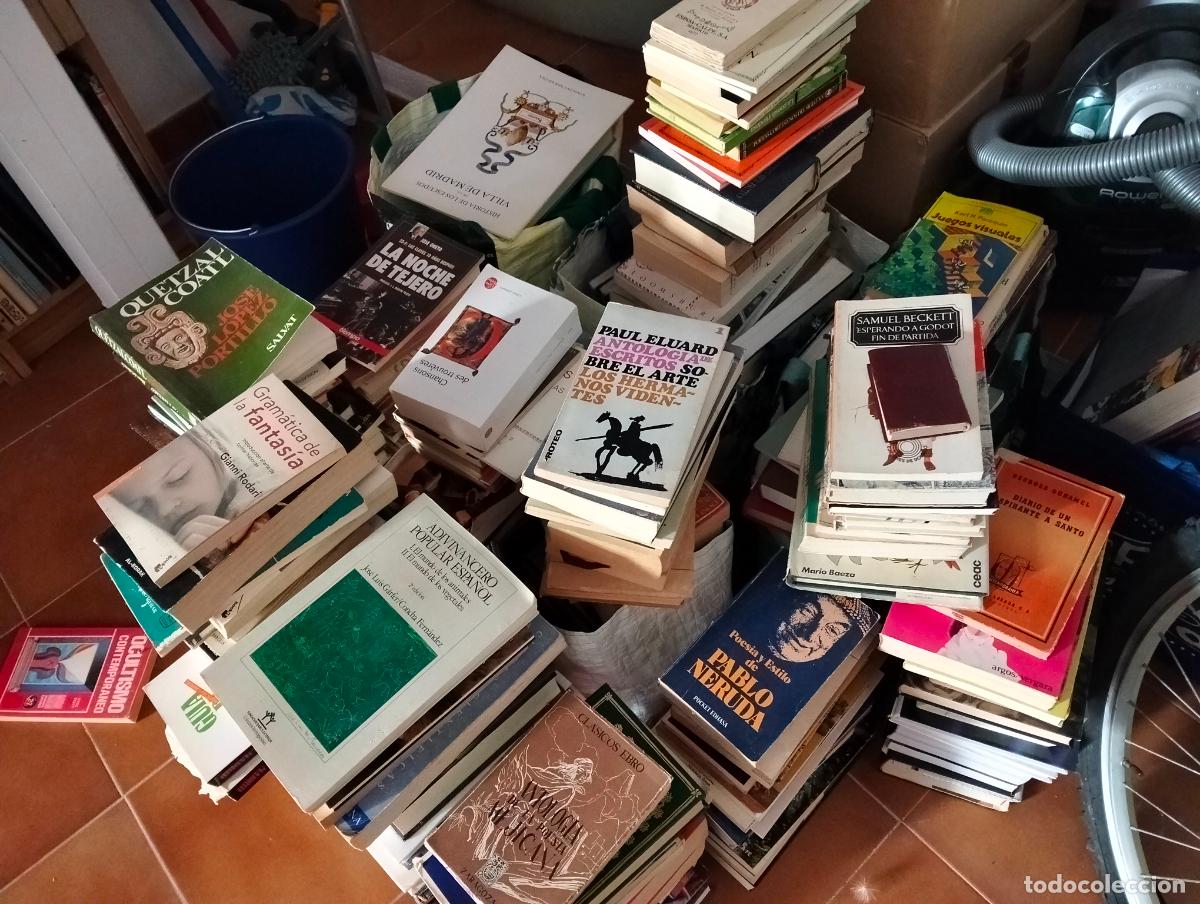 Libros: Lotazo de Libros. Los de la foto. Seran como 250-300, casi todo ensayos. VISITA MI CATALOGO