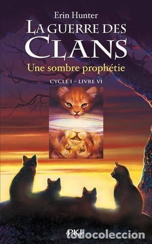 Livros em segunda m&atilde;o: Une sombre proph&eacute;tie: Livre VI.