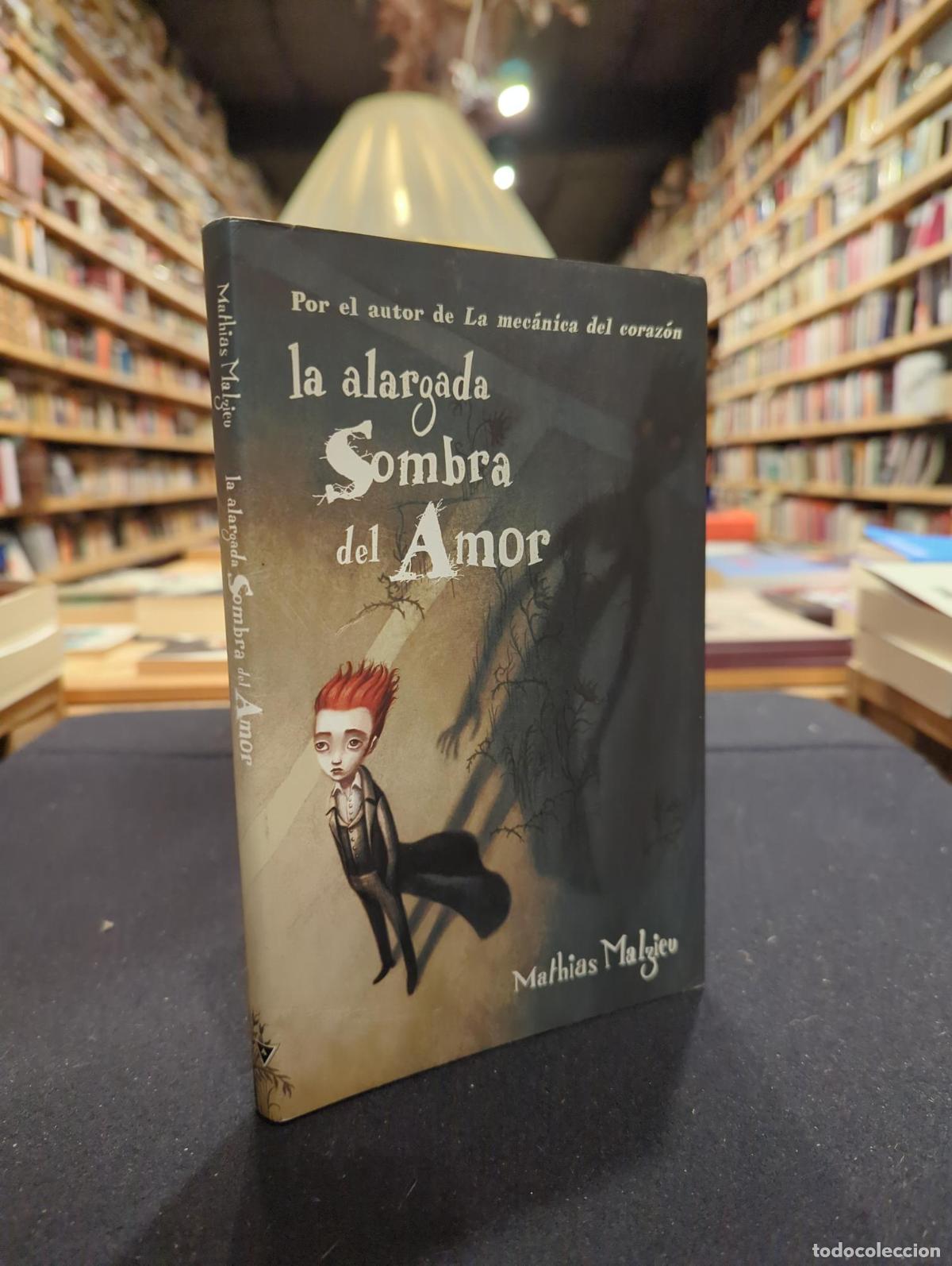 La alargada sombra del amor - Mathias Malzieu