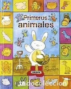 Libros: Primeros animales: C&oacute;mo brilla - Caroline Davis - Susaeta Ediciones